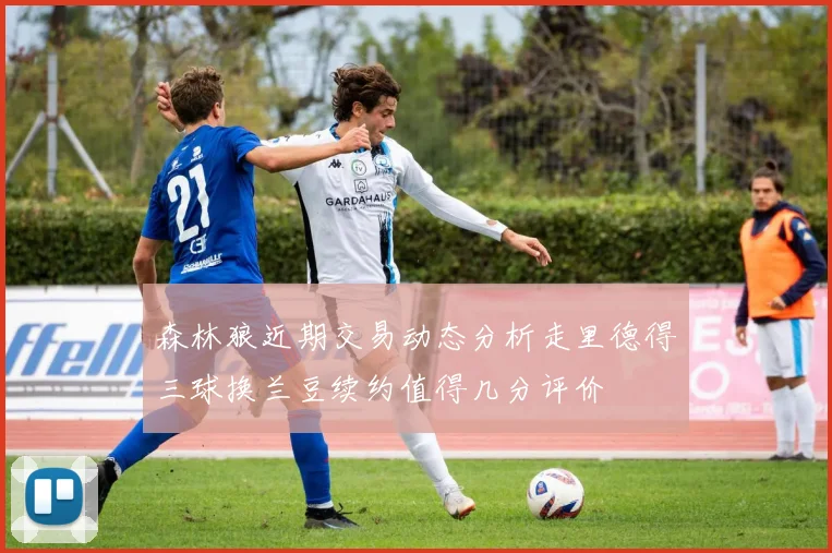 森林狼近期交易动态分析走里德得三球换兰豆续约值得几分评价