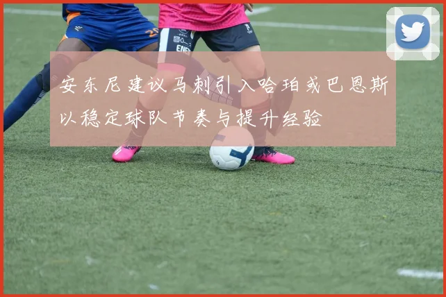 安东尼建议马刺引入哈珀或巴恩斯以稳定球队节奏与提升经验