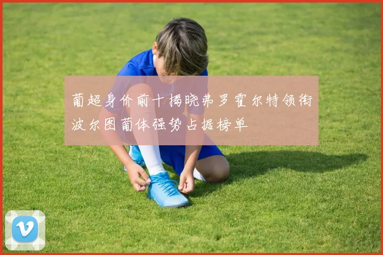 葡超身价前十揭晓弗罗霍尔特领衔波尔图葡体强势占据榜单